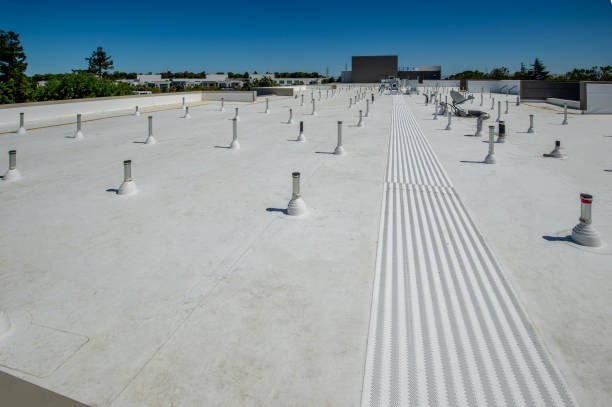 Best Emergency Roof Repair  in Dollar Bay, MI
